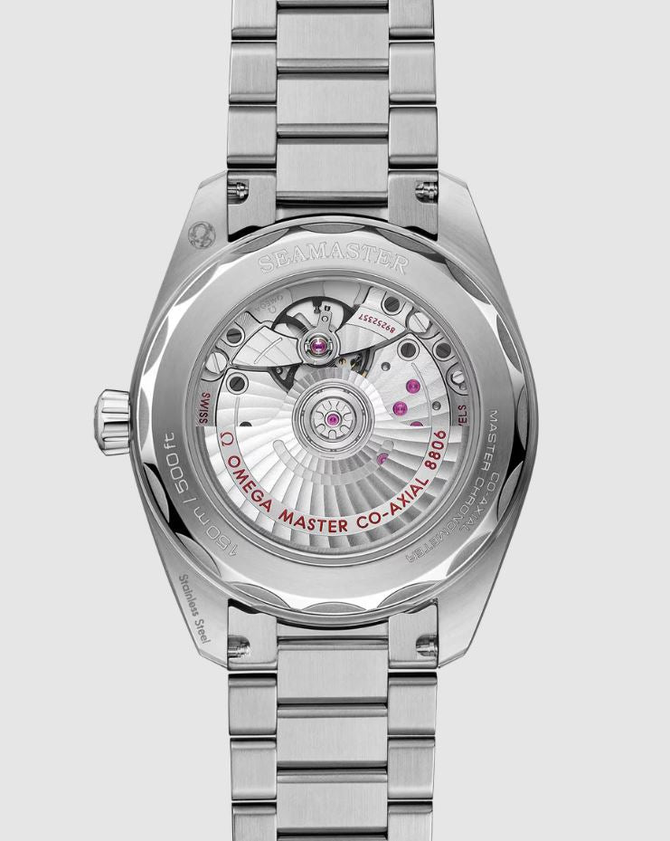 omg Seamaster Railmaster