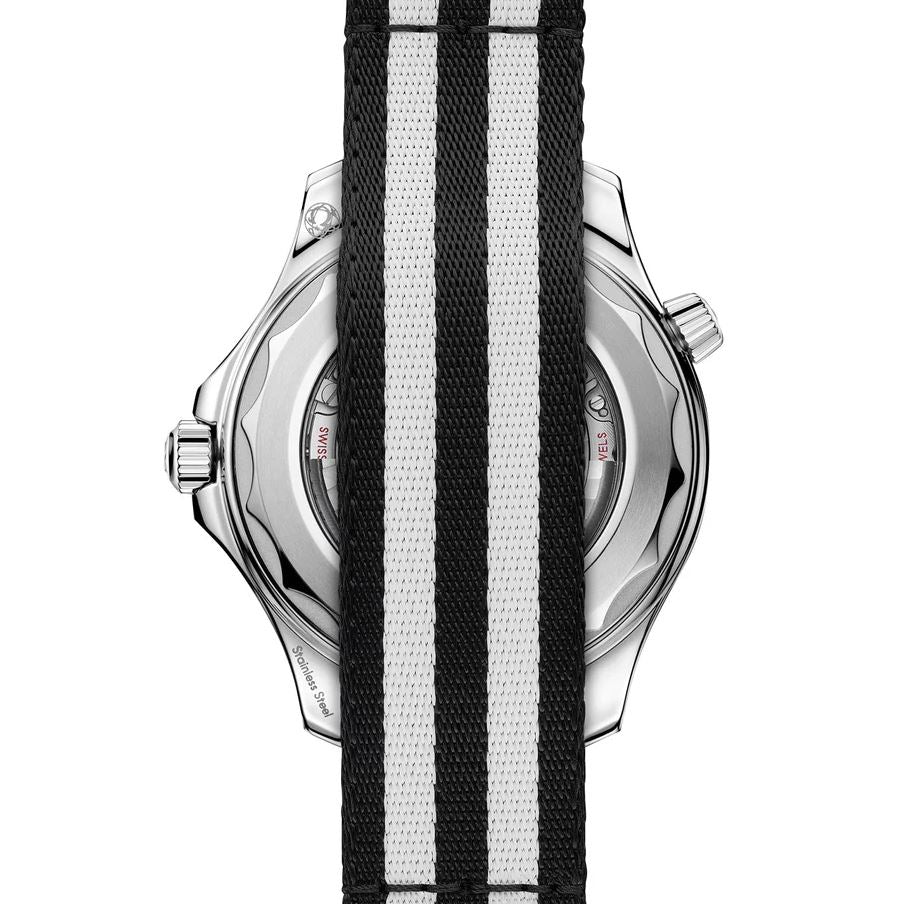 omg Seamaster Diver 300M