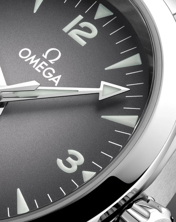 omg Seamaster Railmaster